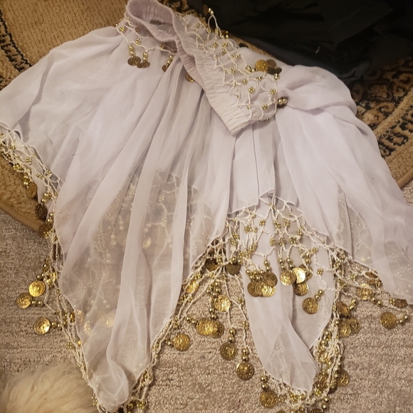 Real hamd made belly dancing tassel skirt - Picture 3 of 4